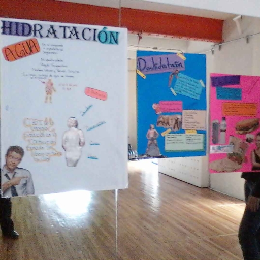 Galería de Zaira Hernandez Barreto