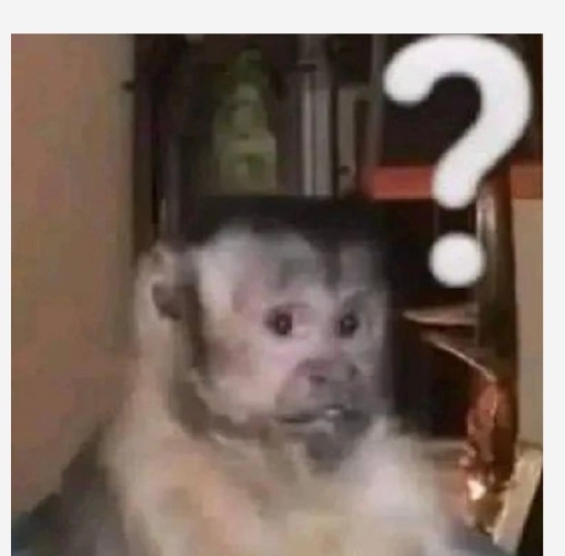 Luz