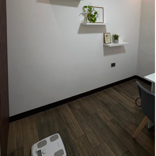 Galería de Berenice Carrillo