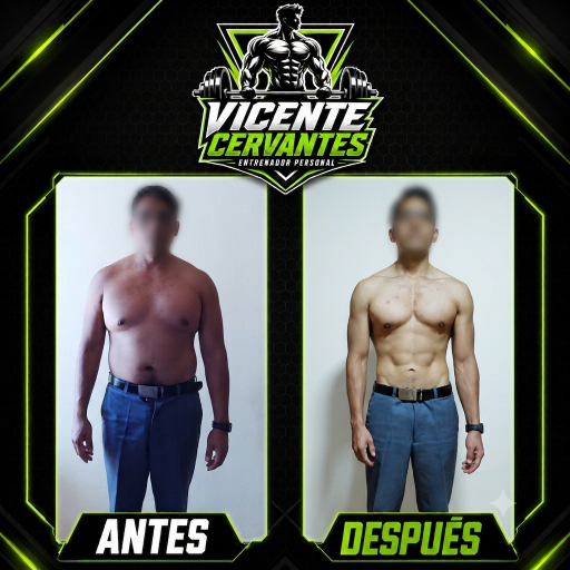 Galería de Vicente Cervantes Tapia