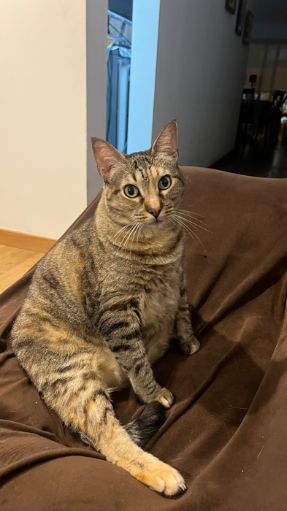 Carlos