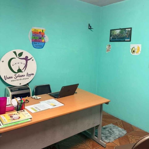Galería de Vanesa Solano Ayon