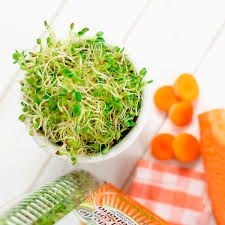 Germinado de alfalfa con zanahoria de 49 Kcal